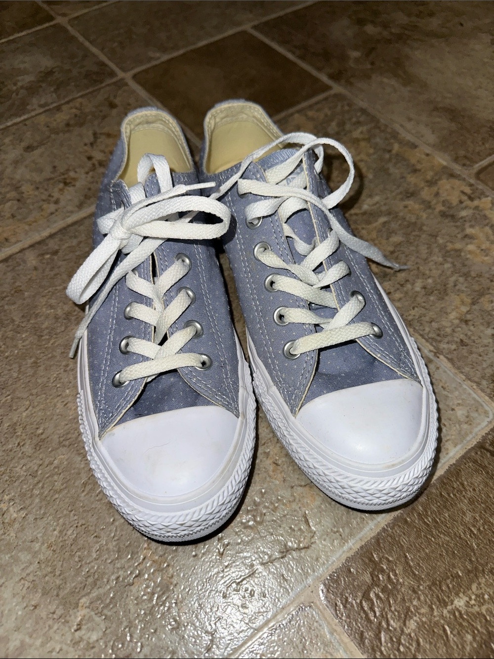 Converse Low-Top Canvas Sneakers